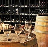 Вандали унищожиха 400 хил. бутилки вино в Италия