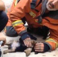 Пожарникар спаси куче с изкуствено дишане 