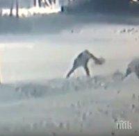 СНЕЖЕН АД В ЧИКАГО! Отмениха 1345 полета