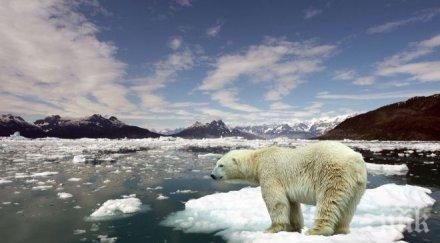 пагубни резултати полярният лед изчезва