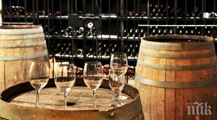 вандали унищожиха 400 хил бутилки вино италия