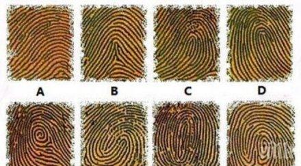 линиите показалеца дясната ръка разкриват важните тайни нас