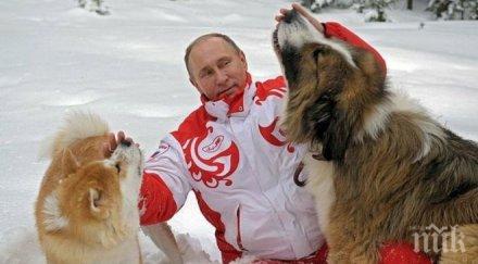 путин отряза японците ново куче