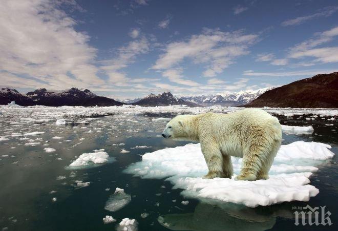 Пагубни резултати! Полярният лед изчезва