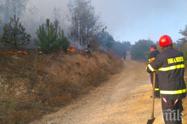 Пожар гори над Бачково, заплашва резерват