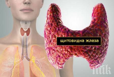 ПРОЧЕТЕТЕ И ЗАПОМНЕТЕ! 8 симптома, издаващи проблем с щитовидната жлеза