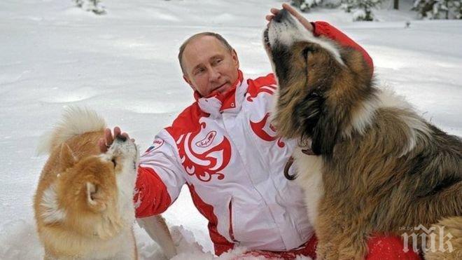 Путин отряза японците – не ще ново куче