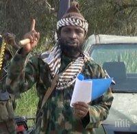 Армията на Нигерия е освободила над 600 души от „Боко Харам“