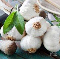 Вируси и настинки бягат далеч и без да ядете чесън! Просто приложете един трик!