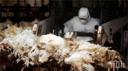 азербайджан забранява вноса птичи продукти русия