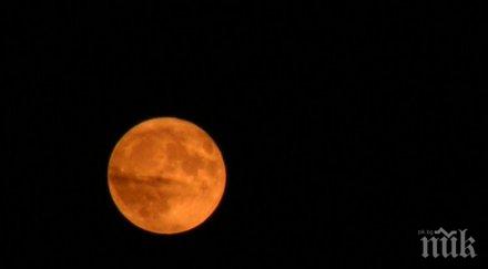 пълнолуние вижте какви ритуали донесат пари любов късмет