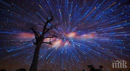 чака вълшебна нощ падащите звезди сбъднат желанията