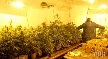 куриоз сметка ток доведе разкриване голямо престъпление