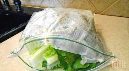 внимание салмонела дебне марулите целофан