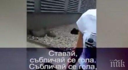 насилие две момичета набиха своя съученичка унизиха