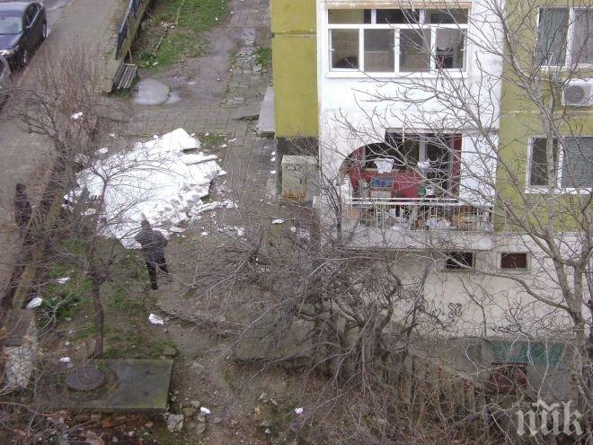 Ураганен вятър прекърши като кибритени клечки дървета във Варна