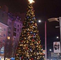 И ТОВА ГО ИМА! Арестуваха петима в Гърмен, сложили коледна елха на площада въпреки забраната на кмета 