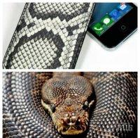 Последен писък на модата: Калъфи за телефоните от естествена змийска кожа