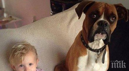 добро дело събраха парите лечението боксер спасил дете отровна змия