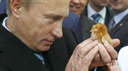 дали вярваме три четвърти руснаците смятатче путин прави добро страната