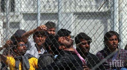 пак почна лагера любимец откриха мигрант малария