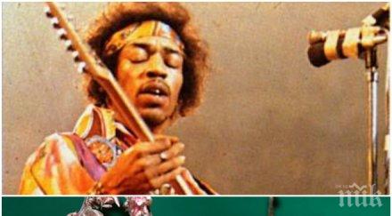 кръстиха цвете джими хендрикс