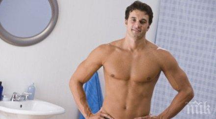 имаме без файда мъжките зърна еректор пили сред ненужните части човешкото тяло