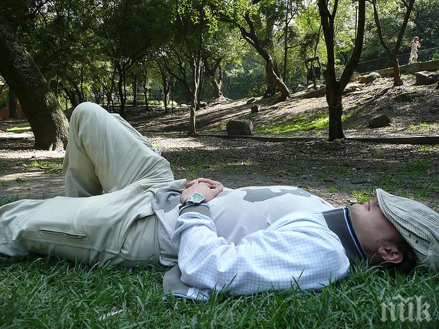 ХИТ! Испания готви съкращаване на работния ден, намаляват и сиестата 