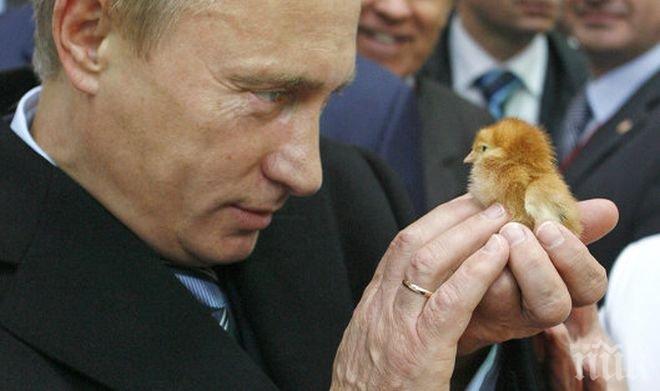 ДАЛИ ДА ИМ ВЯРВАМЕ! Три четвърти от руснаците смятат,че Путин прави добро за страната им  