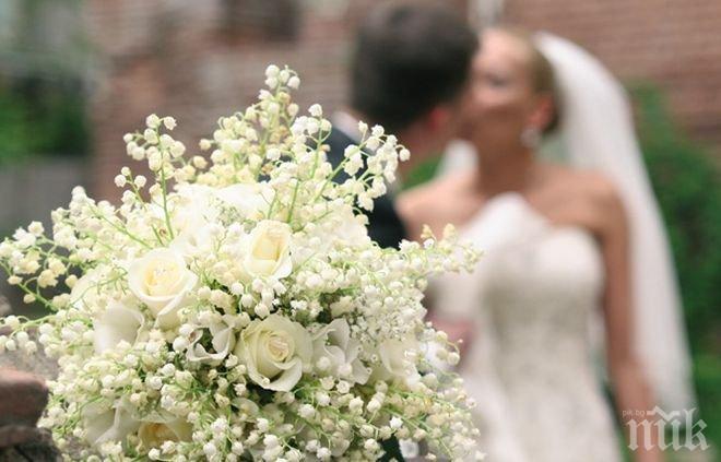 Един загинал и петима ранени след падането на голямо дърво върху сватбено тържество