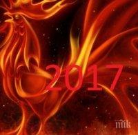 Какво трябва да знаем за годината на Червения огнен петел