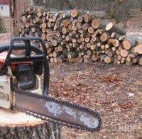 Животновъд и двама дървосекачи изчезнаха безследно в Ивайловградско 
