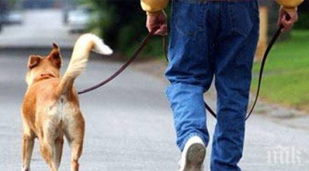 трагедия мъж излезе разходи кучето откриха мъртъв