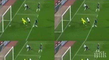 лъвовете нов прогрес