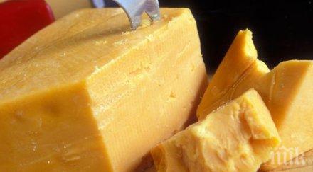 внимание видите кашкавала посягайте