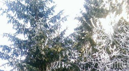 настъпва астрономическата зима
