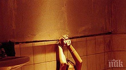 влюбен професор организира менте отвличане впечатли изгората