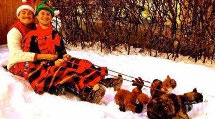 100 смях забавните коледни снимки правени кадри взривиха нета