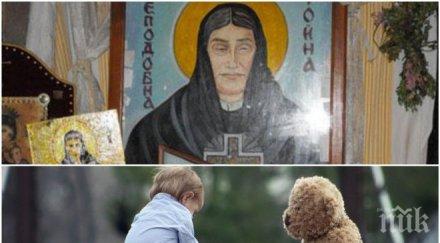 чудо коледа нямо дете проговори гроба преподобна стойна