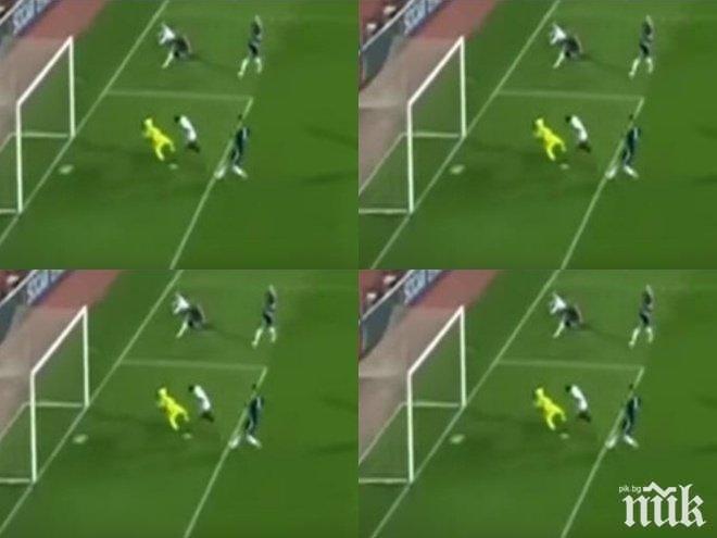 Лъвовете с нов прогрес