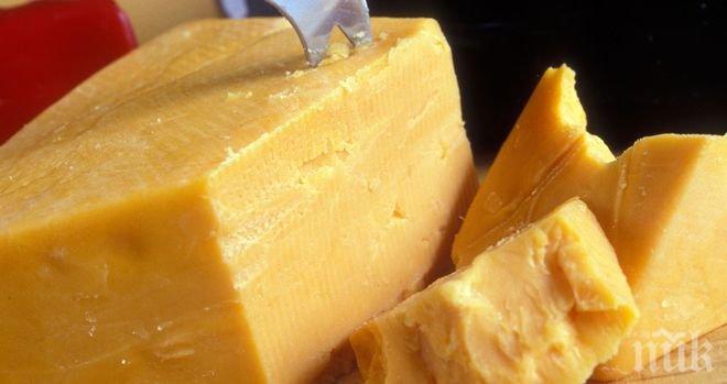 ВНИМАНИЕ! Ако видите това на кашкавала, не посягайте към него!