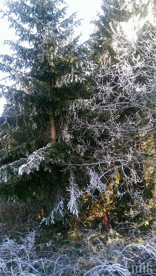 Днес настъпва астрономическата зима 