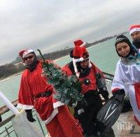 Дядо Коледа и Снежанка водолази изплуваха от Бургаския залив (ВИДЕО)