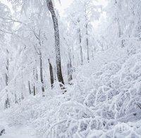ПСС: В планините сега е прекрасно, но си носете котки и щеки 