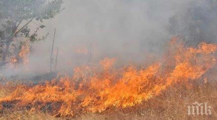 подпалиха пасища пътя рилския манастир