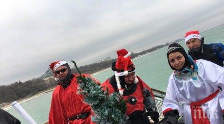 дядо коледа снежанка водолази изплуваха бургаския залив видео