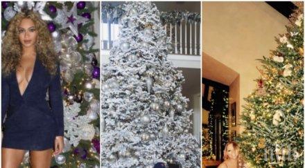 красота изглеждат коледните елхи звездите снимки видео