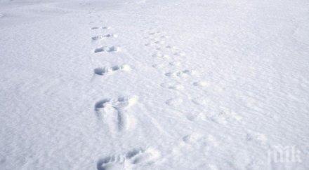 япония застреляха мечка излязла пътя скиори