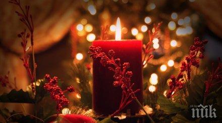 червеното зеленото цветовете коледа историята заслужава