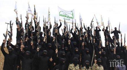 000 тунизийци воюват радикални ислямистки групировки